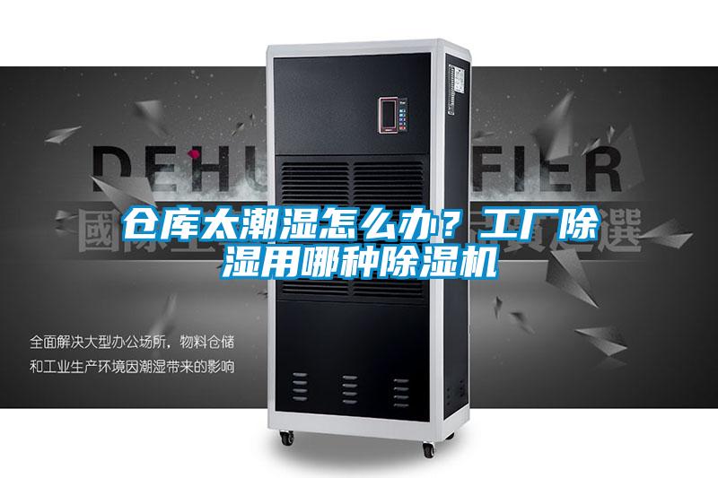 倉庫太潮濕怎么辦？工廠除濕用哪種除濕機