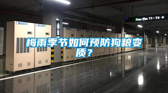 梅雨季節(jié)如何預(yù)防狗糧變質(zhì)？