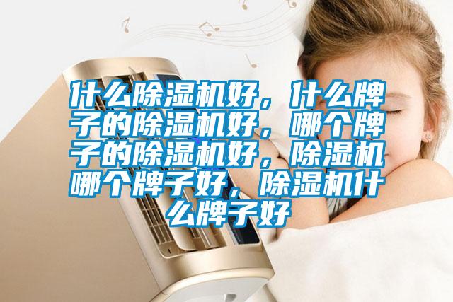 什么除濕機好，什么牌子的除濕機好，哪個牌子的除濕機好，除濕機哪個牌子好，除濕機什么牌子好