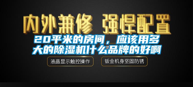 20平米的房間，應(yīng)該用多大的除濕機(jī)什么品牌的好啊