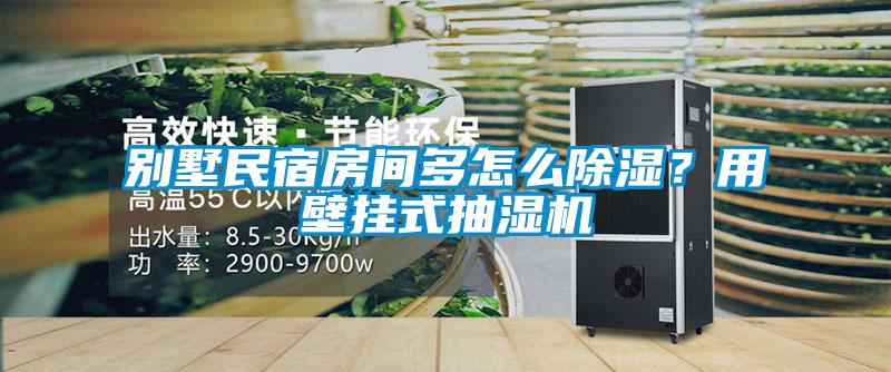 別墅民宿房間多怎么除濕？用壁掛式抽濕機(jī)