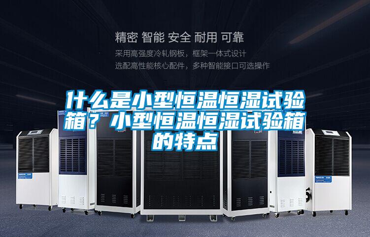 什么是小型恒溫恒濕試驗箱？小型恒溫恒濕試驗箱的特點