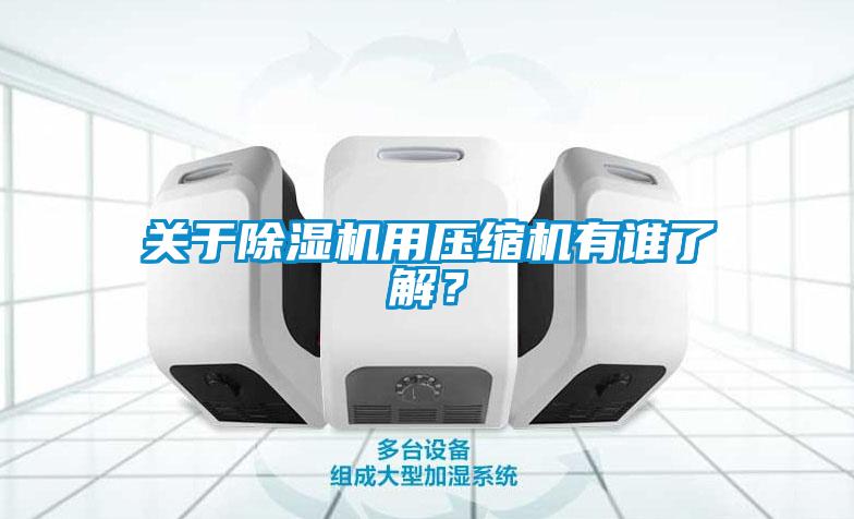 關(guān)于除濕機(jī)用壓縮機(jī)有誰了解？