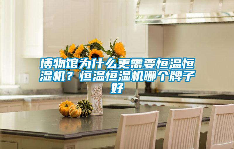 博物館為什么更需要恒溫恒濕機(jī)？恒溫恒濕機(jī)哪個牌子好