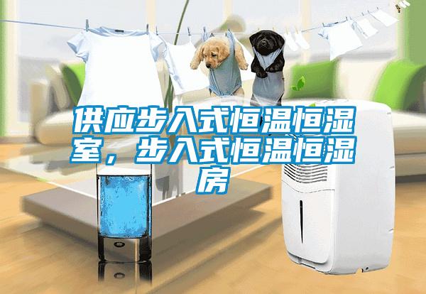 供應(yīng)步入式恒溫恒濕室，步入式恒溫恒濕房
