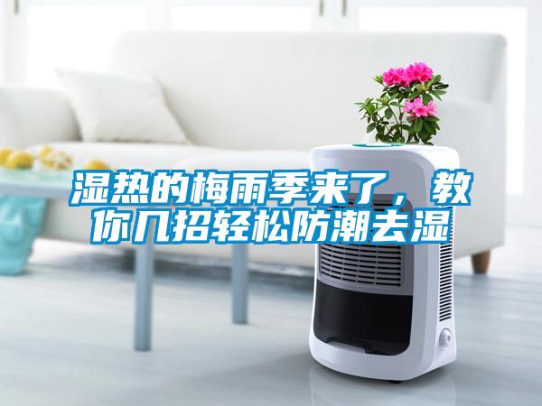 濕熱的梅雨季來了，教你幾招輕松防潮去濕