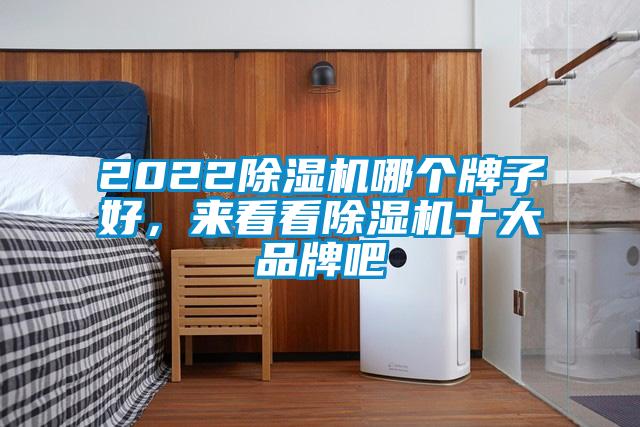 2022除濕機(jī)哪個(gè)牌子好，來(lái)看看除濕機(jī)十大品牌吧