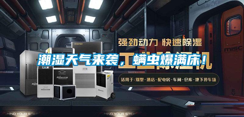 潮濕天氣來襲，螨蟲爆滿床！