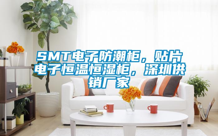 SMT電子防潮柜，貼片電子恒溫恒濕柜，深圳供銷廠家