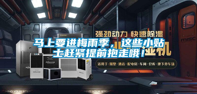 馬上要進(jìn)梅雨季，這些小貼士趕緊提前抱走哦！