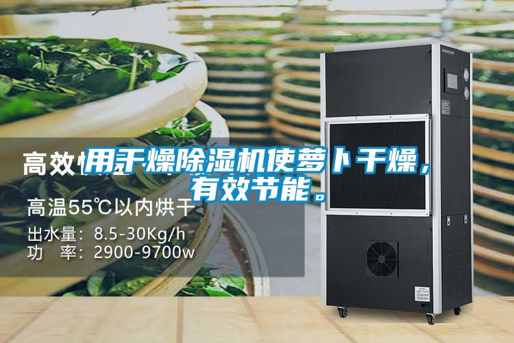 用干燥除濕機(jī)使蘿卜干燥，有效節(jié)能。