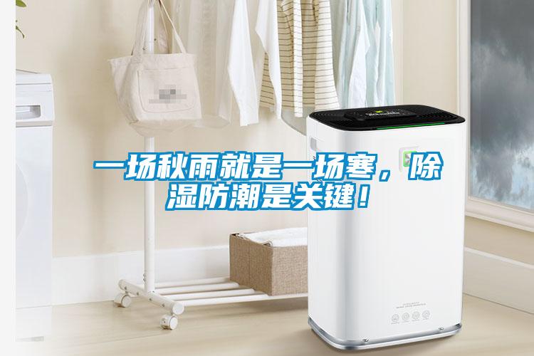 一場秋雨就是一場寒，除濕防潮是關(guān)鍵！