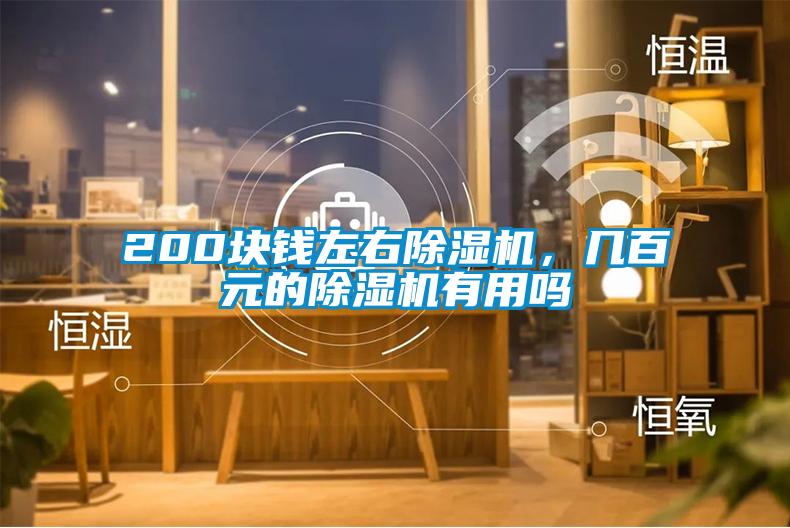 200塊錢左右除濕機，幾百元的除濕機有用嗎