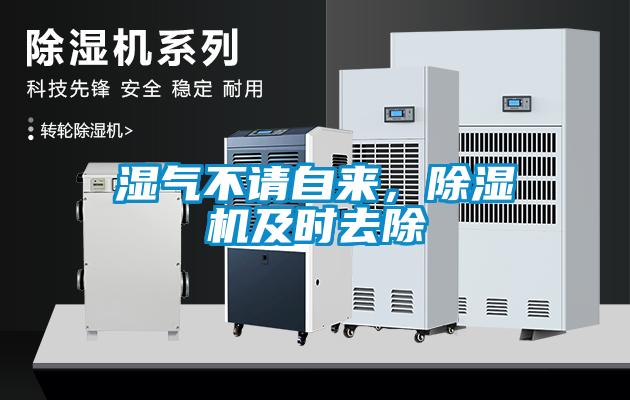 濕氣不請自來，除濕機(jī)及時去除