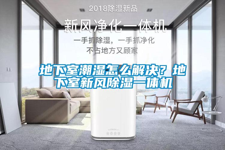地下室潮濕怎么解決？地下室新風(fēng)除濕一體機(jī)