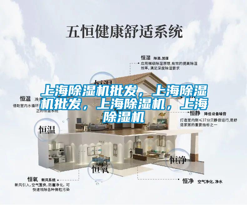 上海除濕機(jī)批發(fā)，上海除濕機(jī)批發(fā)，上海除濕機(jī)，上海除濕機(jī)