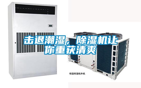 擊退潮濕，除濕機(jī)讓你重獲清爽
