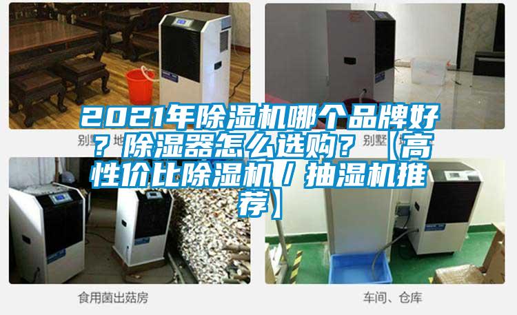2021年除濕機哪個品牌好？除濕器怎么選購？【高性價比除濕機／抽濕機推薦】