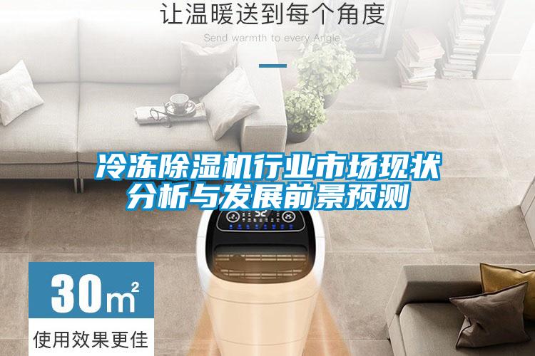 冷凍除濕機行業(yè)市場現狀分析與發(fā)展前景預測