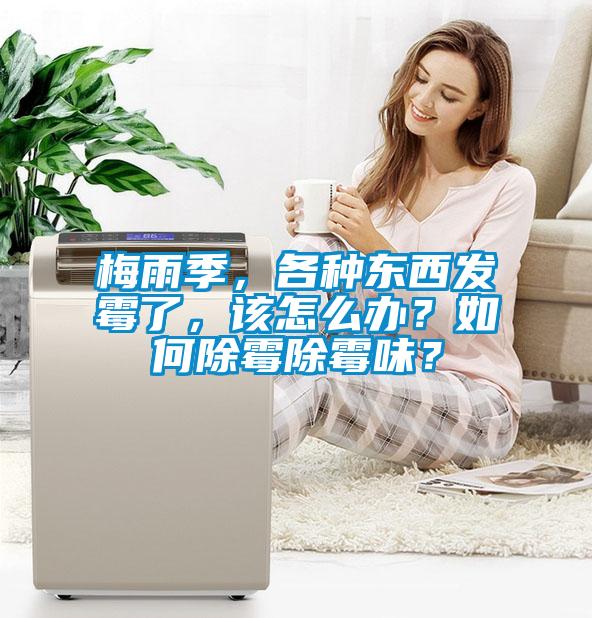 梅雨季，各種東西發(fā)霉了，該怎么辦？如何除霉除霉味？