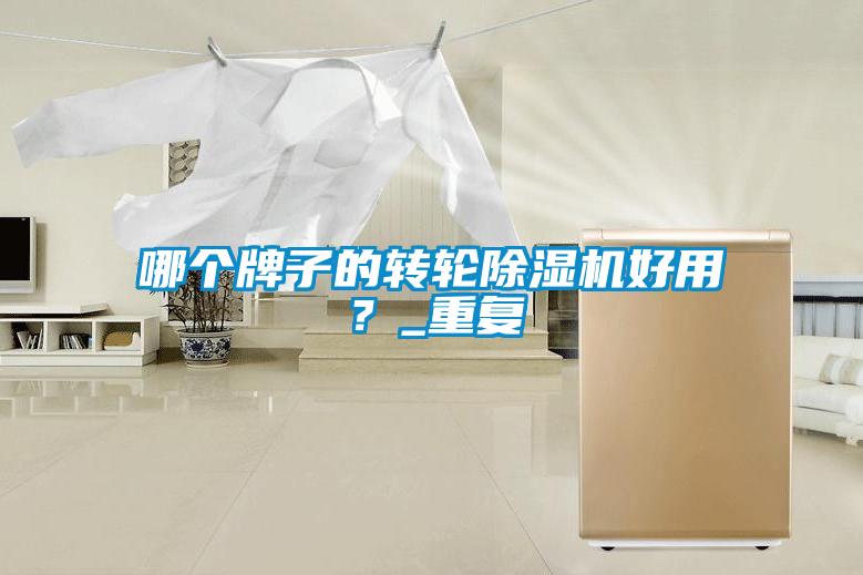 哪個牌子的轉(zhuǎn)輪除濕機(jī)好用？_重復(fù)