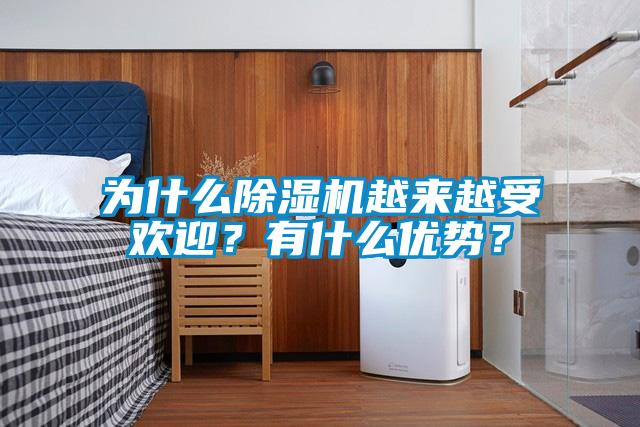 為什么除濕機(jī)越來越受歡迎？有什么優(yōu)勢？