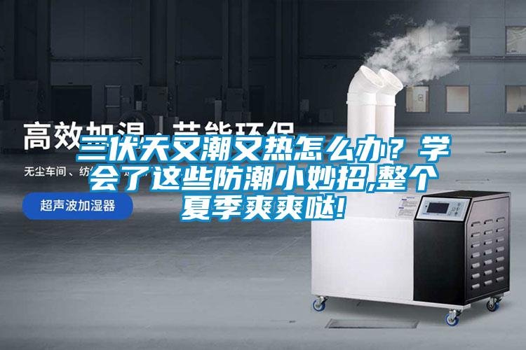 三伏天又潮又熱怎么辦？學(xué)會(huì)了這些防潮小妙招,整個(gè)夏季爽爽噠!