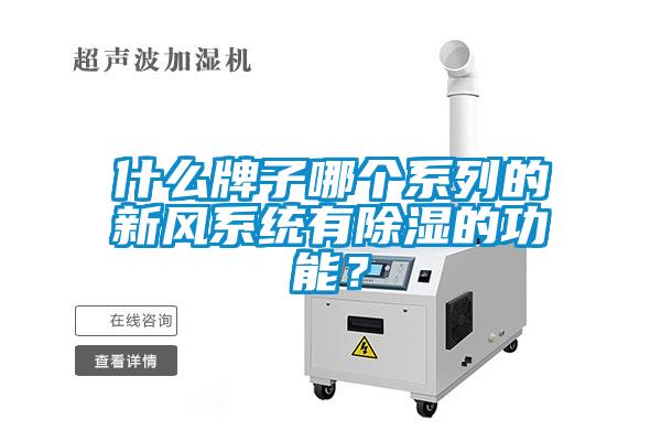 什么牌子哪個系列的新風(fēng)系統(tǒng)有除濕的功能？
