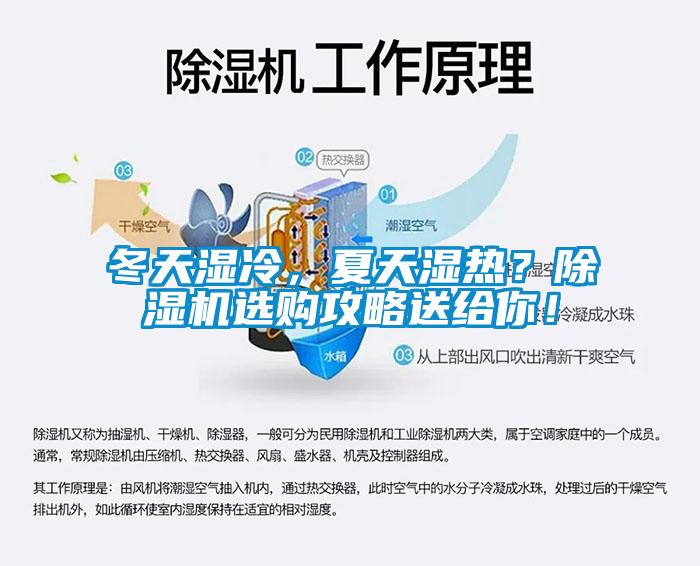 冬天濕冷，夏天濕熱？除濕機選購攻略送給你！