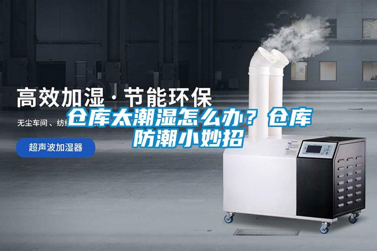 倉庫太潮濕怎么辦？倉庫防潮小妙招