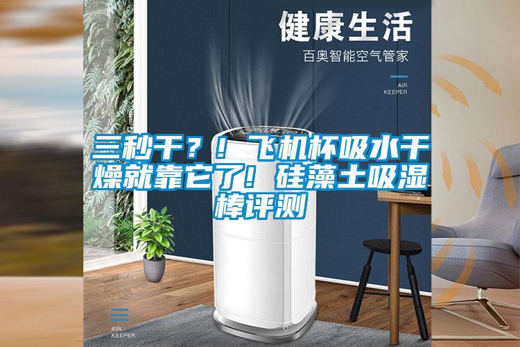 三秒干？! 飛機杯吸水干燥就靠它了! 硅藻土吸濕棒評測