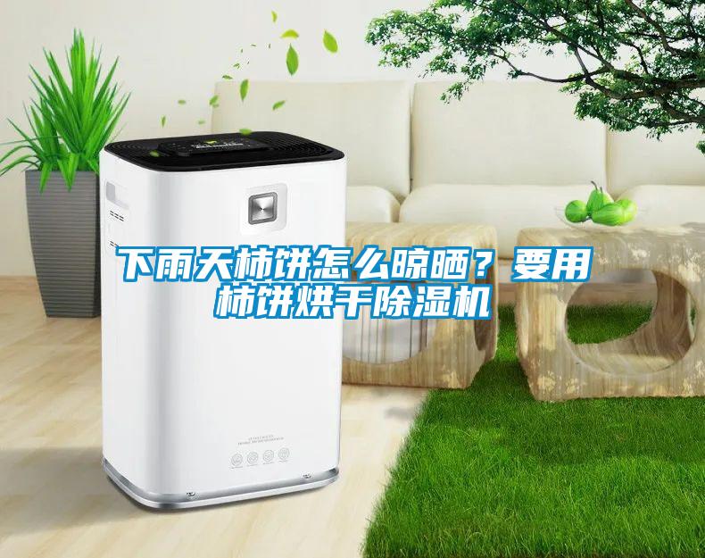下雨天柿餅怎么晾曬？要用柿餅烘干除濕機