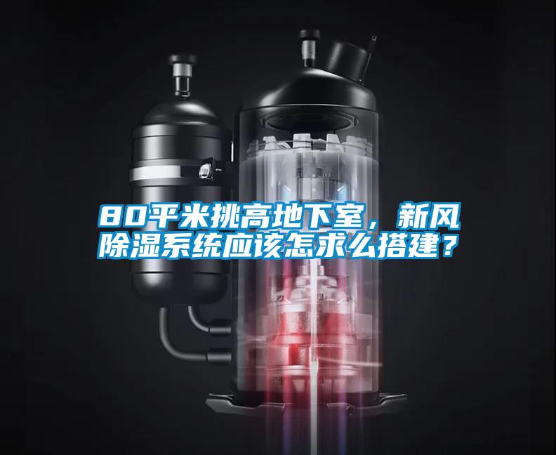 80平米挑高地下室，新風除濕系統(tǒng)應該怎求么搭建？