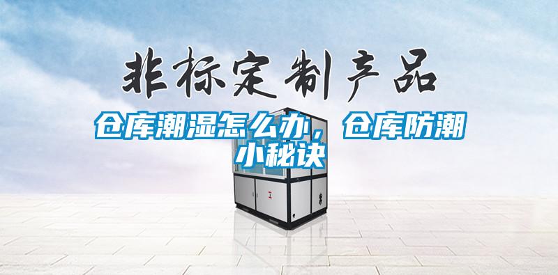 倉(cāng)庫(kù)潮濕怎么辦，倉(cāng)庫(kù)防潮小秘訣