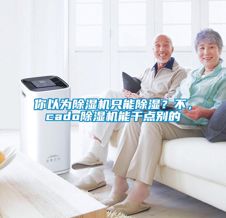 你以為除濕機(jī)只能除濕？不，cado除濕機(jī)能干點(diǎn)別的