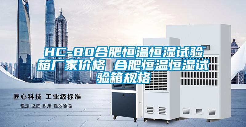 HC-80合肥恒溫恒濕試驗(yàn)箱廠(chǎng)家價(jià)格 合肥恒溫恒濕試驗(yàn)箱規(guī)格