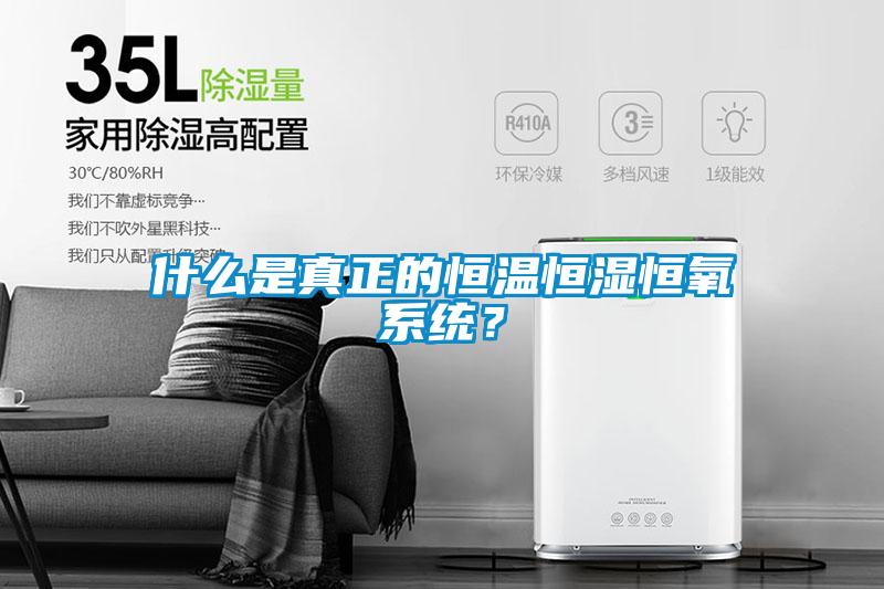 什么是真正的恒溫恒濕恒氧系統(tǒng)？