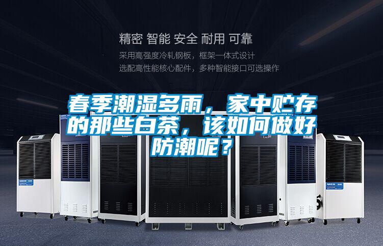 春季潮濕多雨，家中貯存的那些白茶，該如何做好防潮呢？