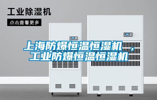 上海防爆恒溫恒濕機(jī) ，工業(yè)防爆恒溫恒濕機(jī)