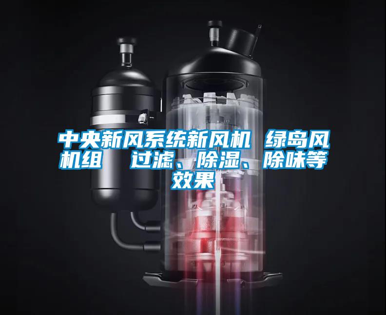 中央新風(fēng)系統(tǒng)新風(fēng)機 綠島風(fēng)機組  過濾、除濕、除味等效果