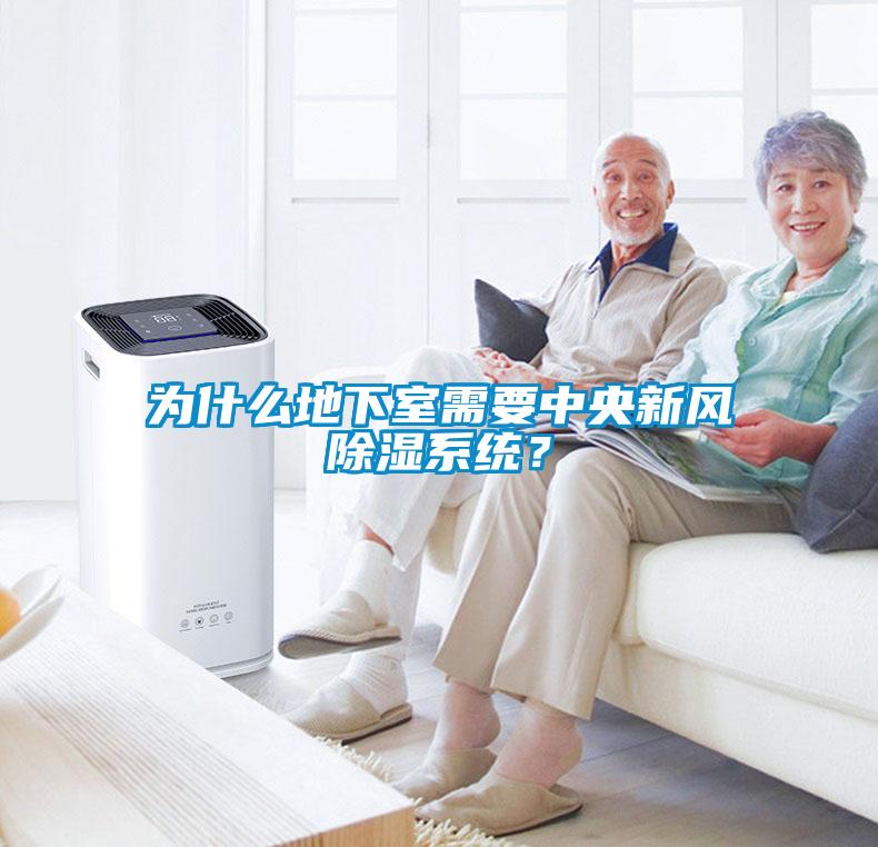 為什么地下室需要中央新風(fēng)除濕系統(tǒng)？