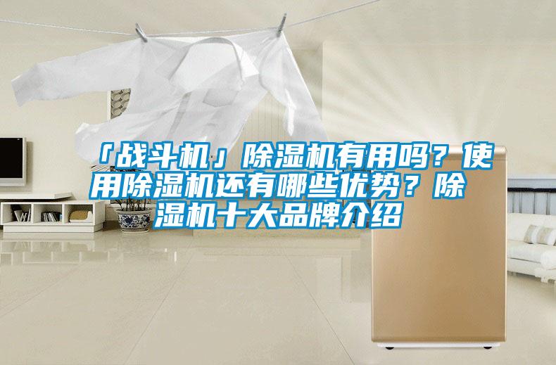 「戰(zhàn)斗機」除濕機有用嗎？使用除濕機還有哪些優(yōu)勢？除濕機十大品牌介紹