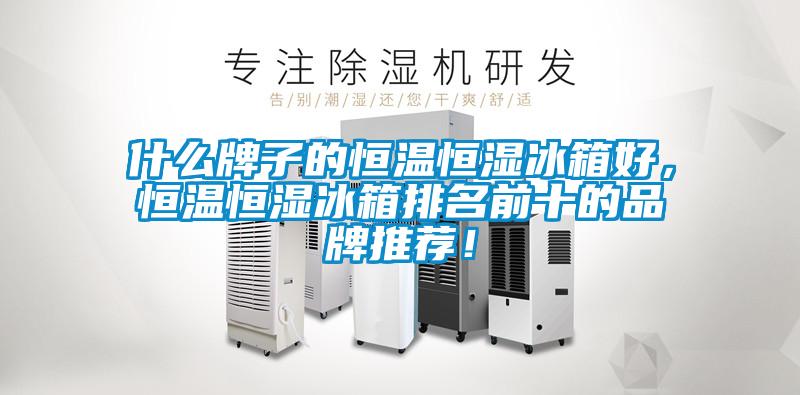 什么牌子的恒溫恒濕冰箱好，恒溫恒濕冰箱排名前十的品牌推薦！