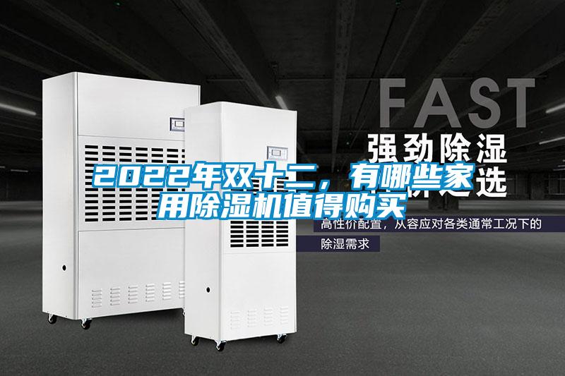 2022年雙十二，有哪些家用除濕機值得購買