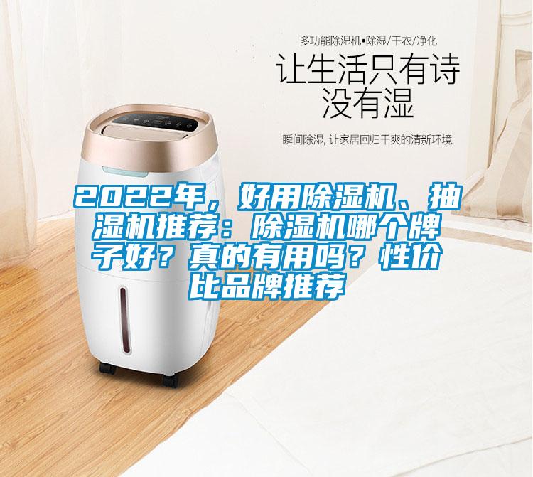 2022年，好用除濕機(jī)、抽濕機(jī)推薦：除濕機(jī)哪個(gè)牌子好？真的有用嗎？性價(jià)比品牌推薦
