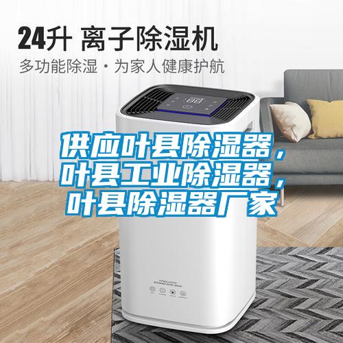 供應(yīng)葉縣除濕器，葉縣工業(yè)除濕器，葉縣除濕器廠家