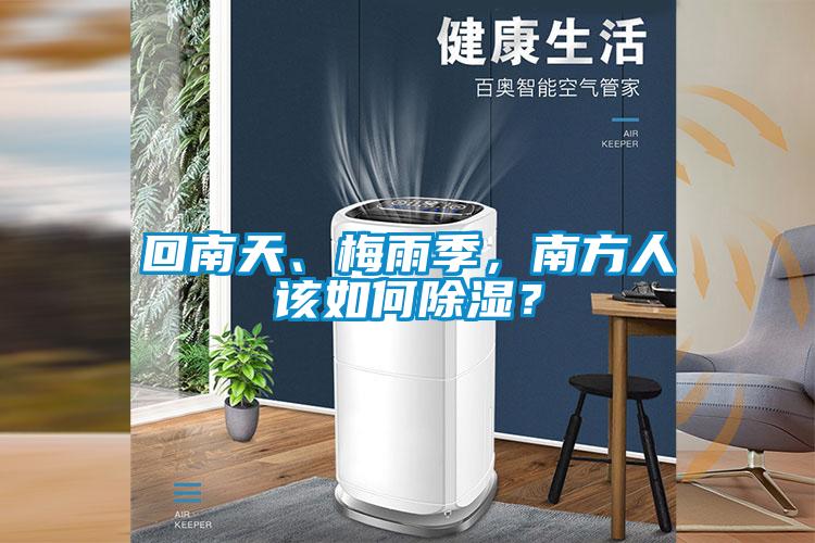 回南天、梅雨季，南方人該如何除濕？