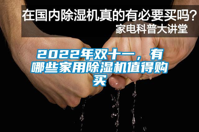 2022年雙十一，有哪些家用除濕機(jī)值得購買