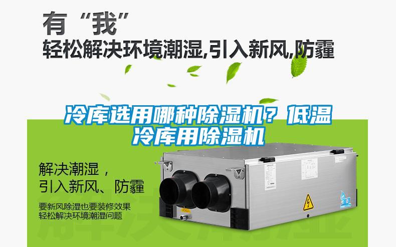 冷庫選用哪種除濕機？低溫冷庫用除濕機