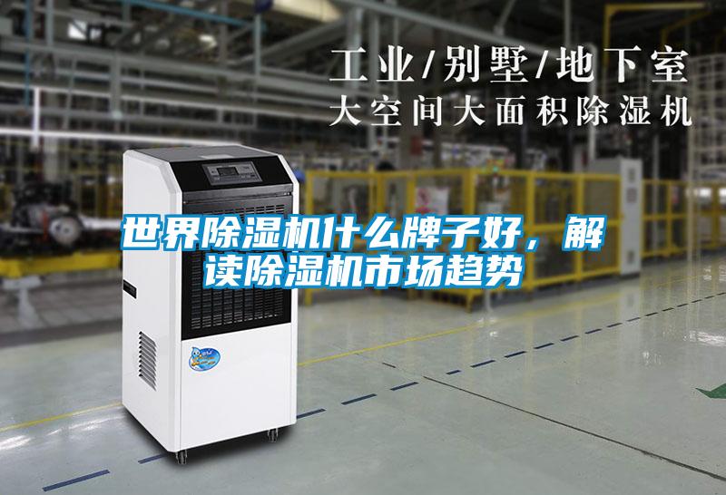 世界除濕機(jī)什么牌子好，解讀除濕機(jī)市場趨勢
